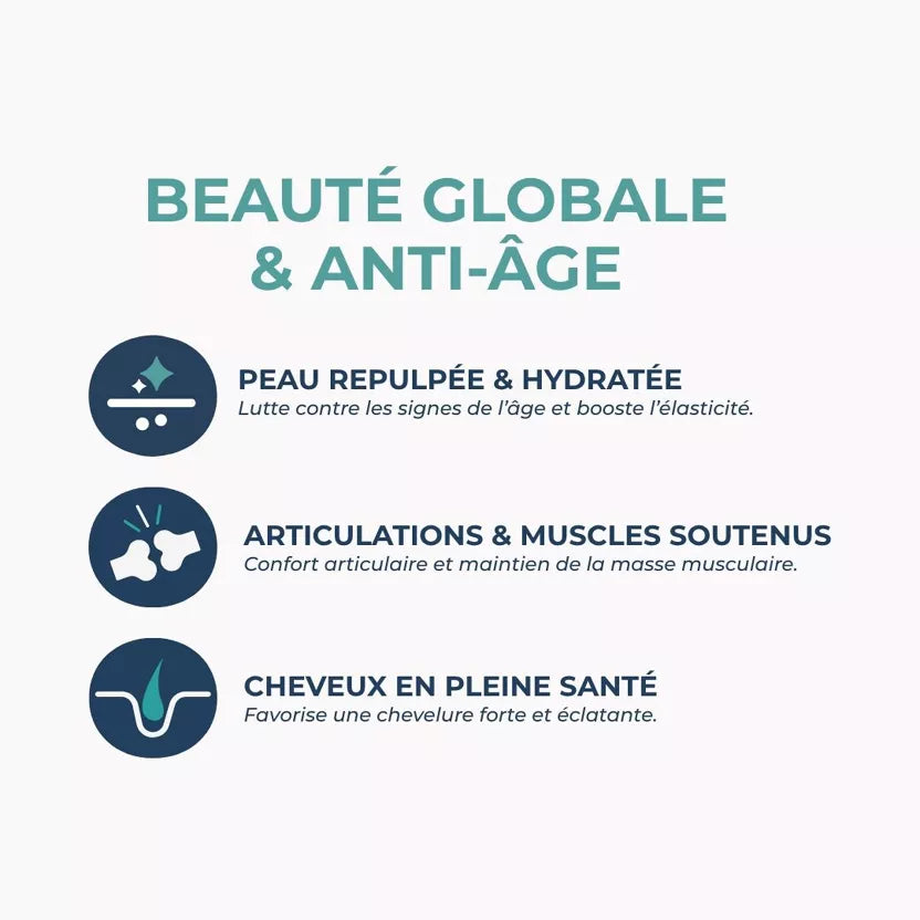 Collagène Marin Fruits Rouges – Peau, Articulations & Hydratation | Collagène + Acide Hyaluronique + Vitamine C