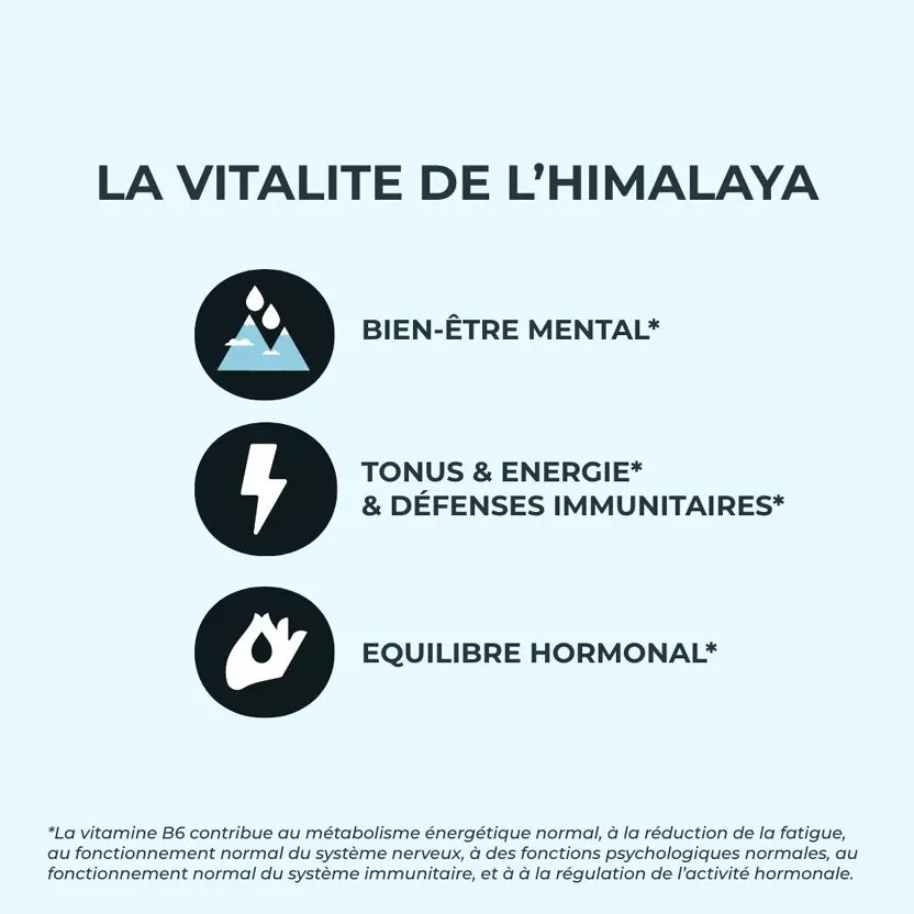 Shilajit Himalaya 1000 mg – 50% Acide Fulvique – Énergie, Vitalité & Tonus Naturel – Complément Alimentaire Minéraux & Vitamine B6 – Gélules Végan – Fabriqué en France