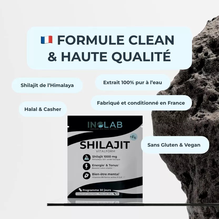 Shilajit Himalaya 1000 mg – 50% Acide Fulvique – Énergie, Vitalité & Tonus Naturel – Complément Alimentaire Minéraux & Vitamine B6 – Gélules Végan – Fabriqué en France